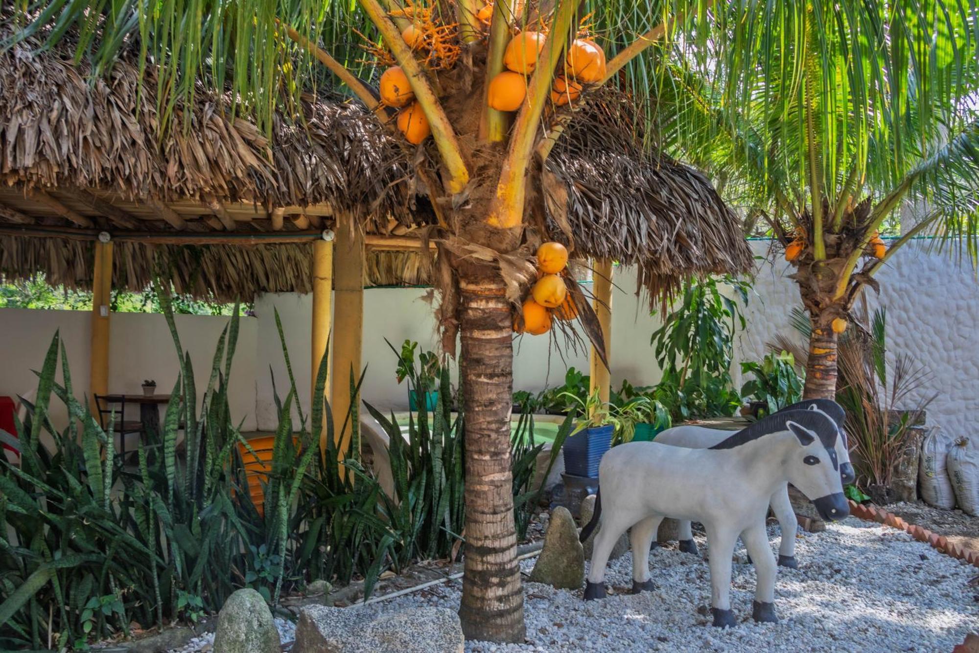 Hotel Manakin Tayrona الزينو المظهر الخارجي الصورة
