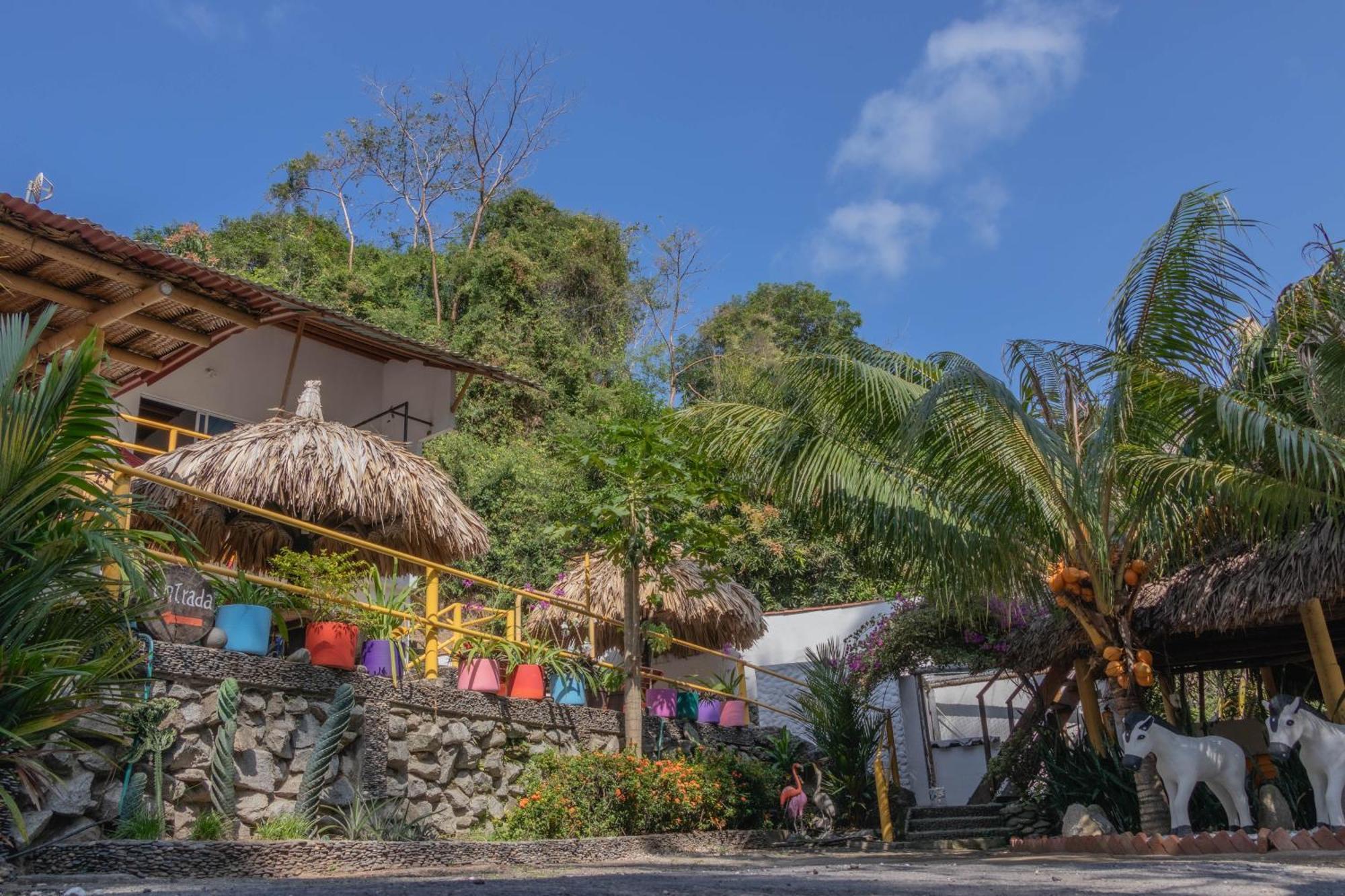 Hotel Manakin Tayrona الزينو المظهر الخارجي الصورة