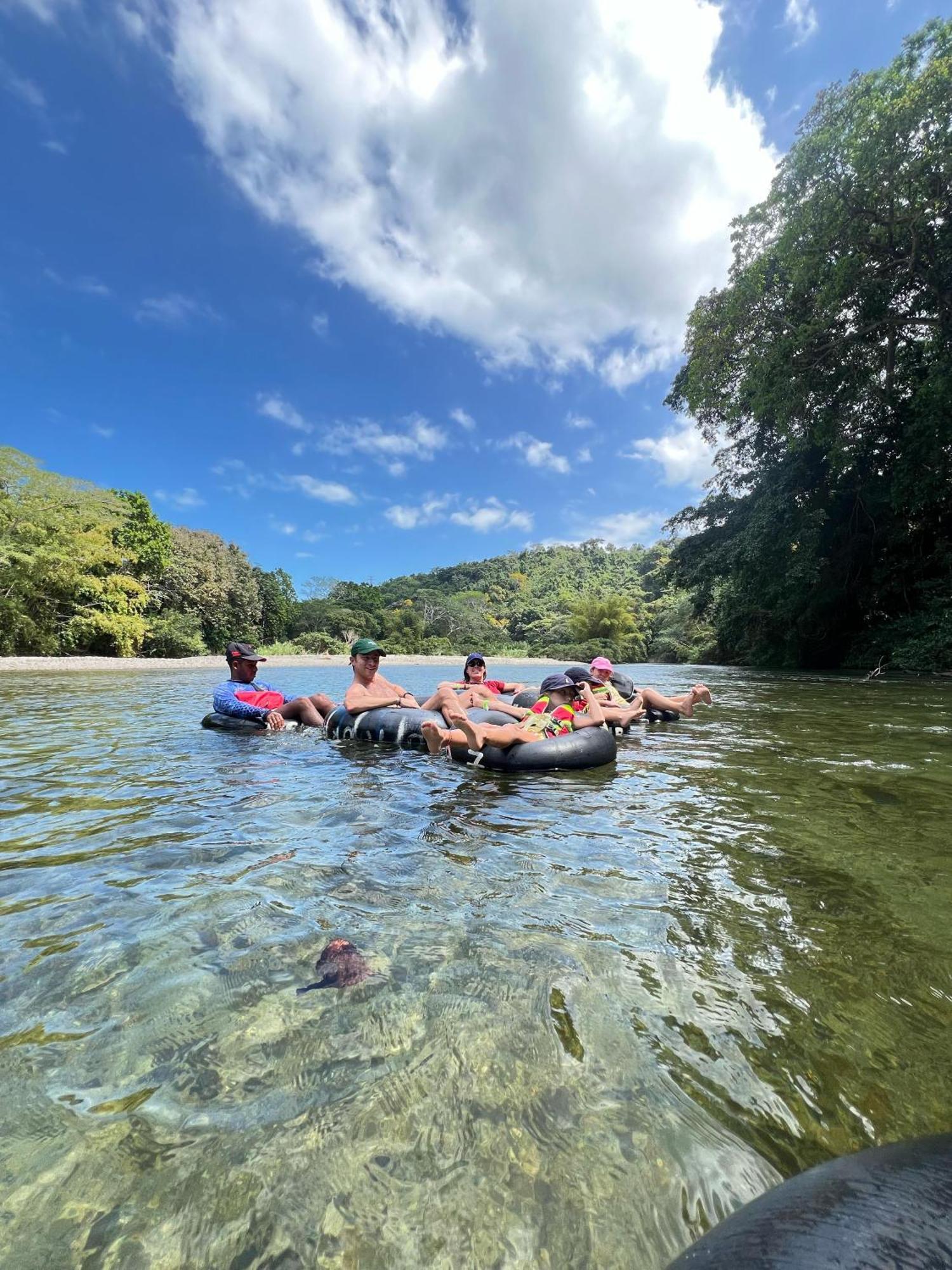 Hotel Manakin Tayrona الزينو المظهر الخارجي الصورة