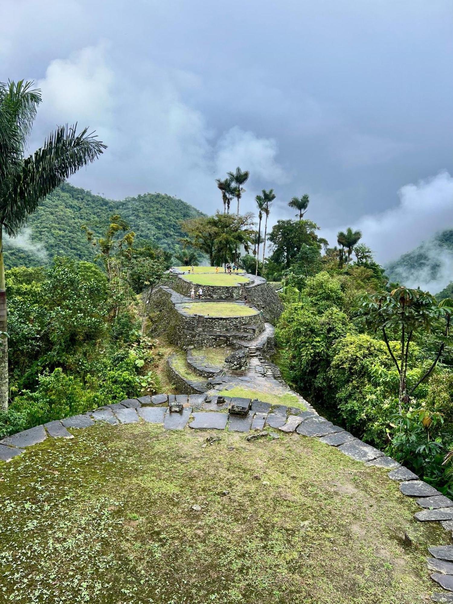 Hotel Manakin Tayrona الزينو المظهر الخارجي الصورة